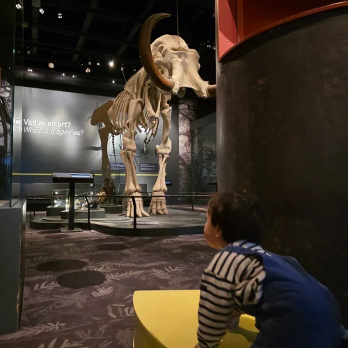 015a4273-e136-48a8-9692-03d8a25dd7fc_4000x3000